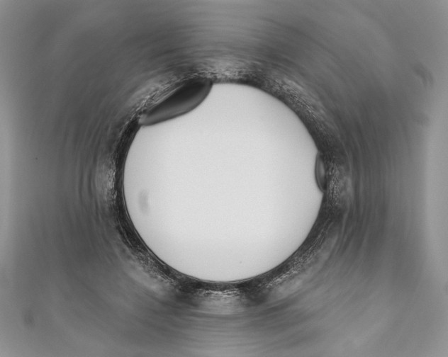 X0000111000548200907171816