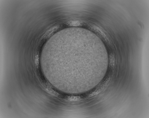 X0000111000549200907171816