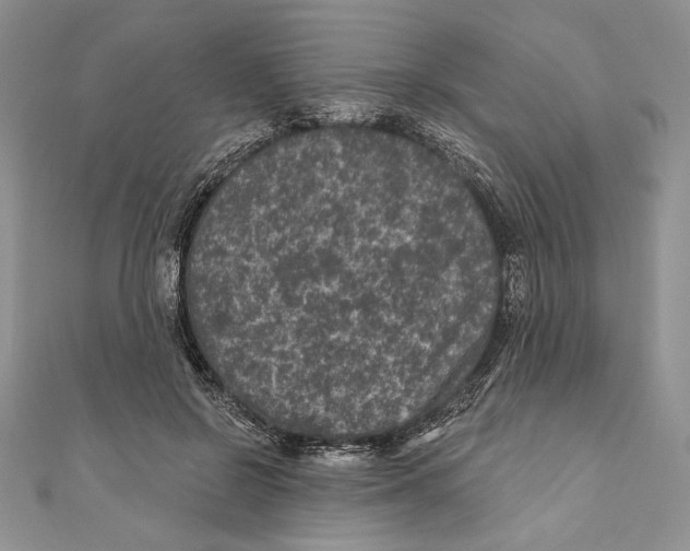 X0000111000550200907171816