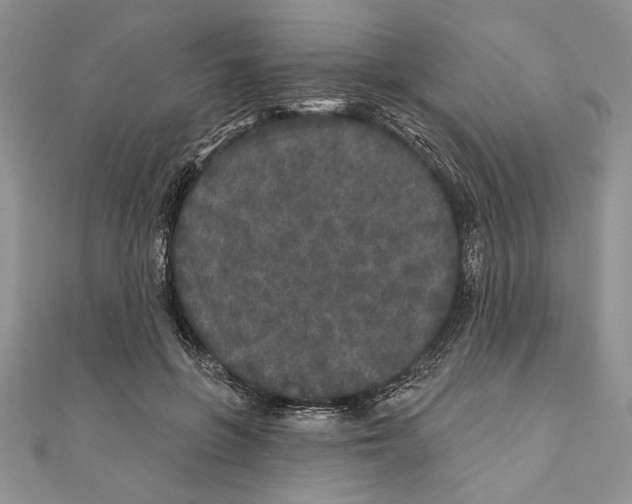 X0000111000551200907171816