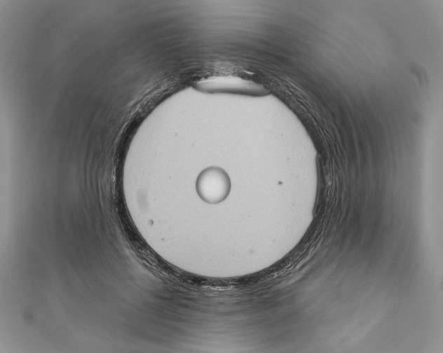 X0000111000552200907171816