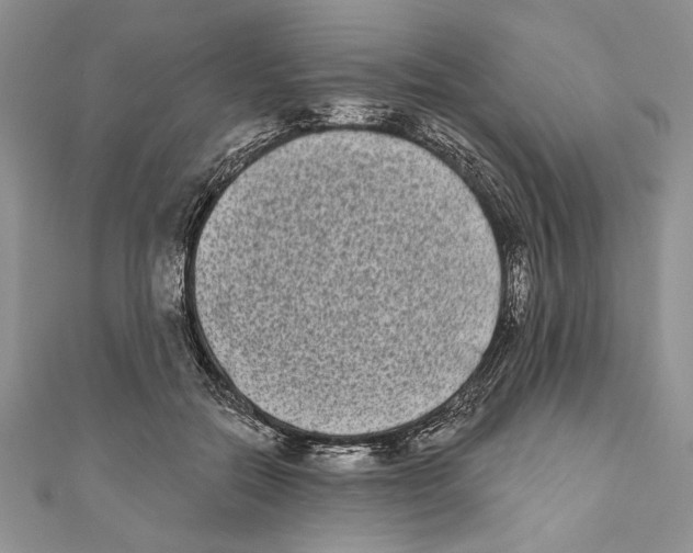 X0000111000554200907171816