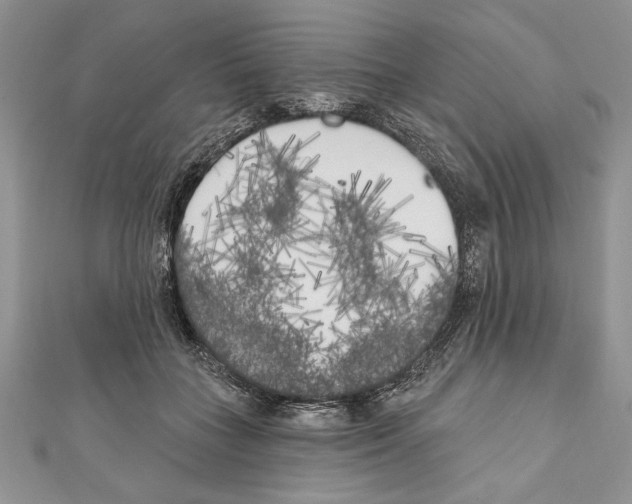 X0000111000555200907171816