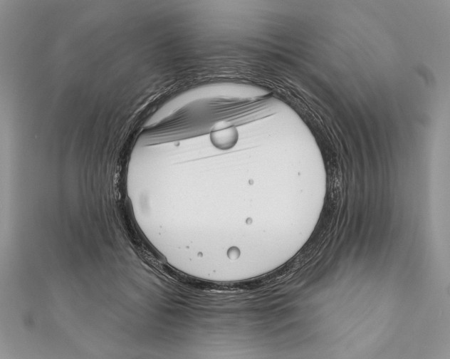 X0000111000556200907171816