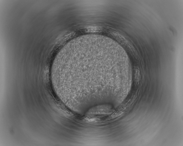 X0000111000557200907171816