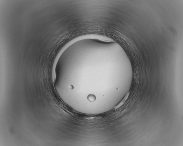 X0000111000558200907171816