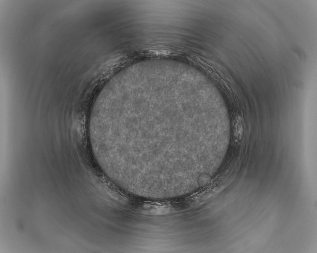 X0000111000559200907171816