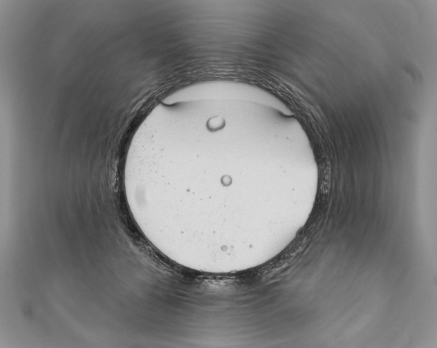 X0000111000560200907171816