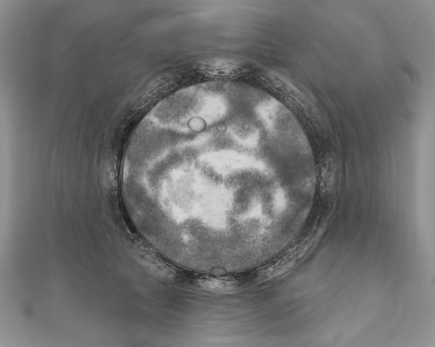 X0000111000561200907171816