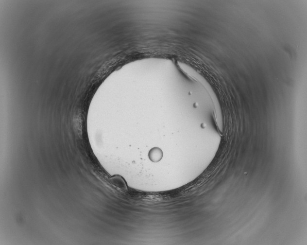 X0000111000562200907171816