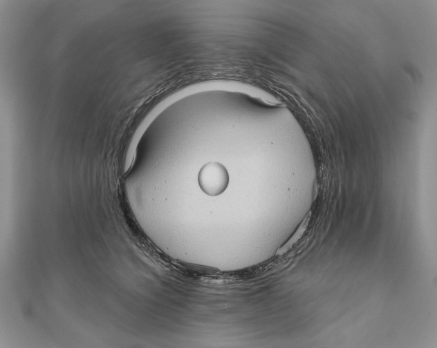 X0000111000564200907171816