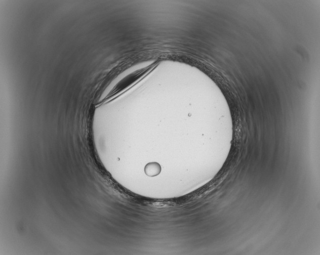 X0000111000566200907171816