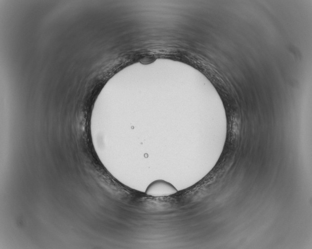 X0000111000567200907171816