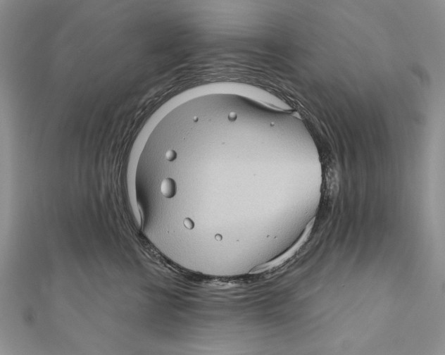 X0000111000570200907171816