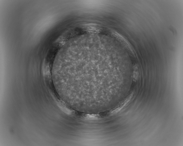 X0000111000573200907171816