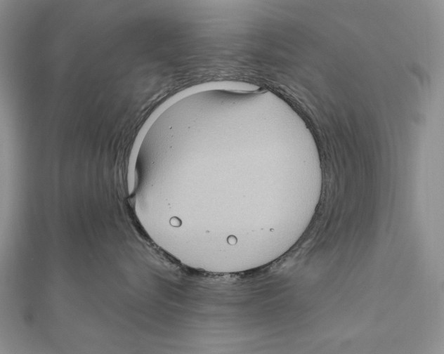 X0000111000576200907171816