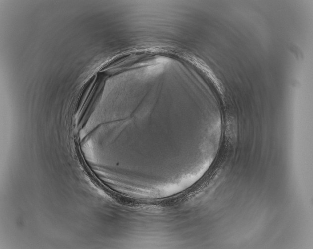 X0000111000577200907171815