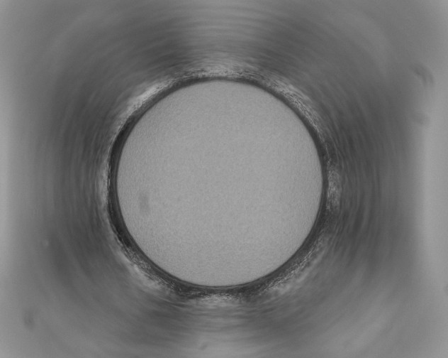 X0000111000578200907171815