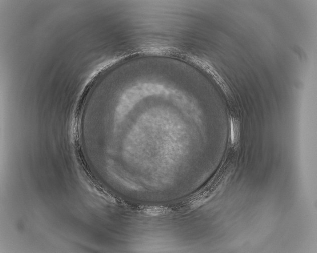 X0000111000579200907171815