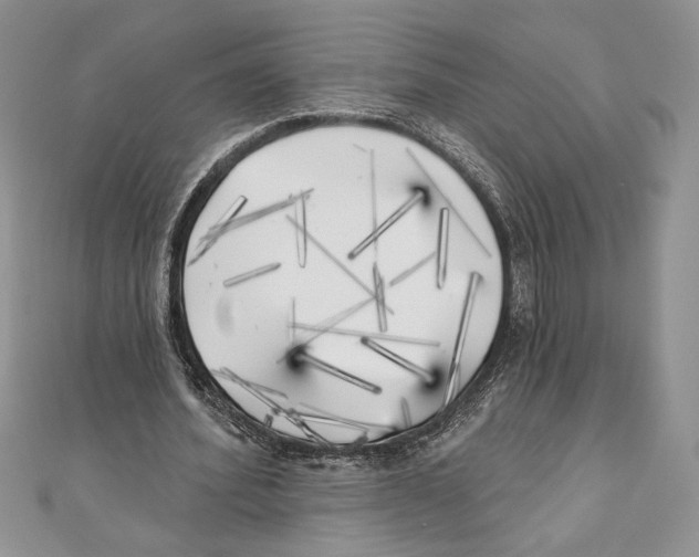 X0000111000580200907171815