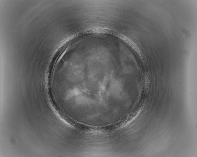 X0000111000581200907171815