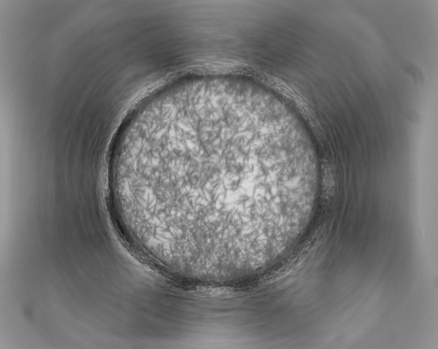 X0000111000582200907171815