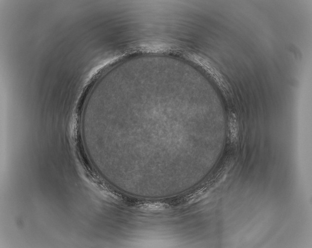 X0000111000583200907171815