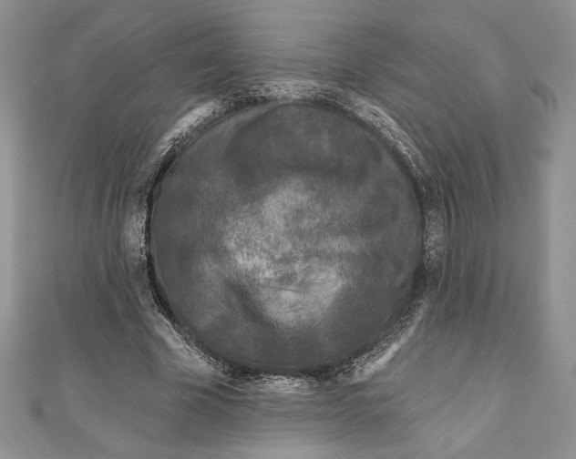 X0000111000585200907171815