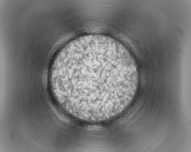 X0000111000586200907171815