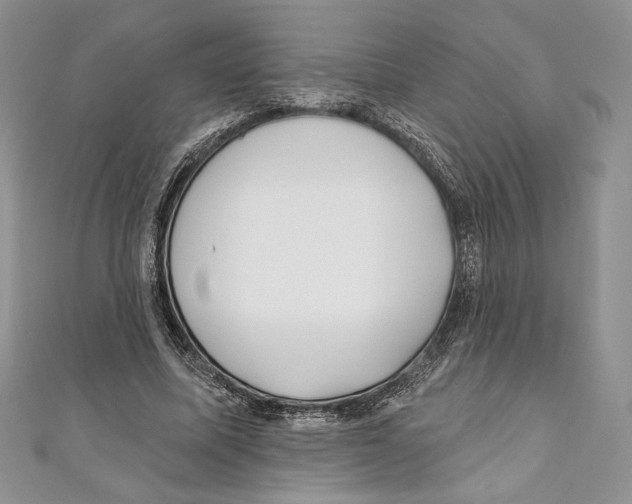 X0000111000587200907171815