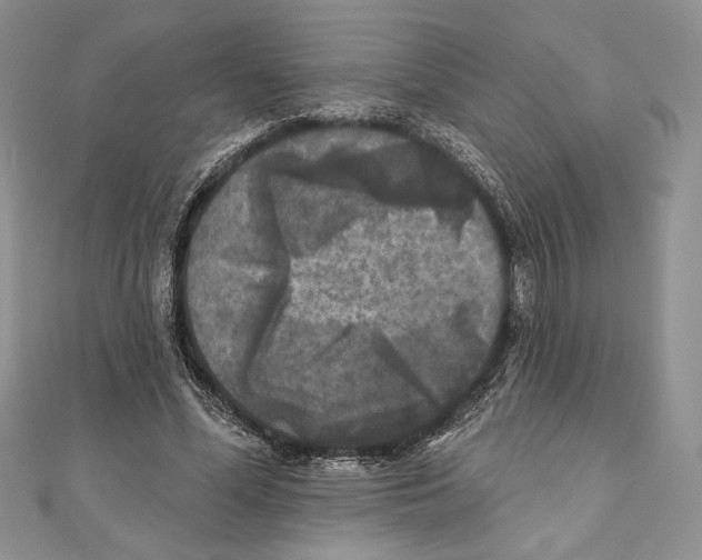 X0000111000588200907171815