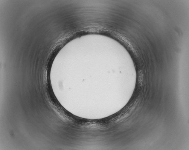 X0000111000589200907171815