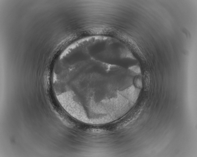 X0000111000590200907171815