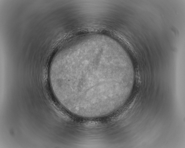 X0000111000593200907171815