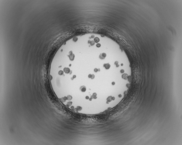 X0000111000594200907171815