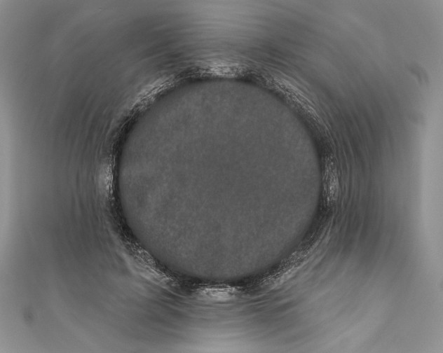 X0000111000595200907171815