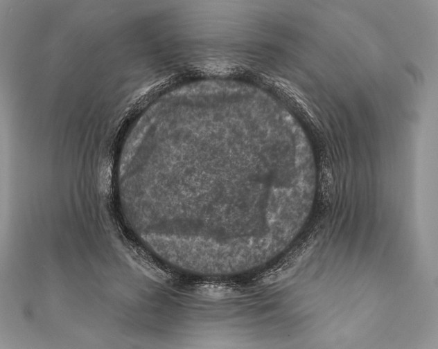 X0000111000596200907171815