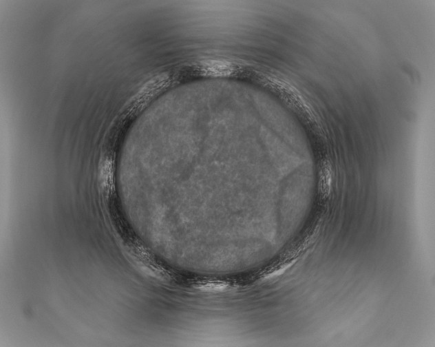 X0000111000598200907171815