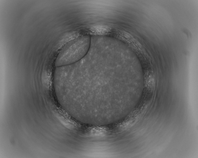 X0000111000599200907171815