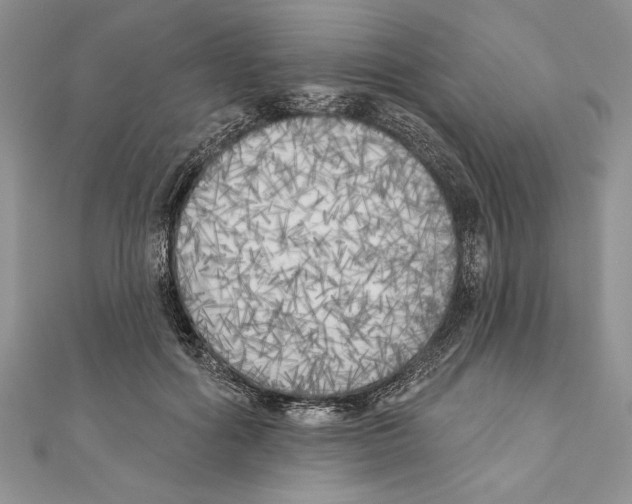 X0000111000602200907171815