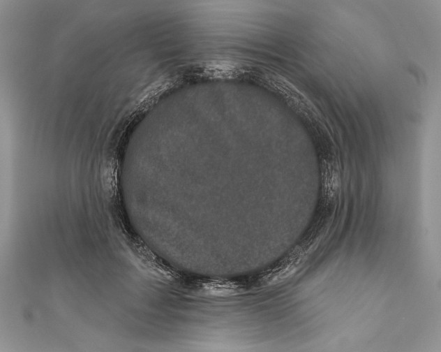 X0000111000603200907171815