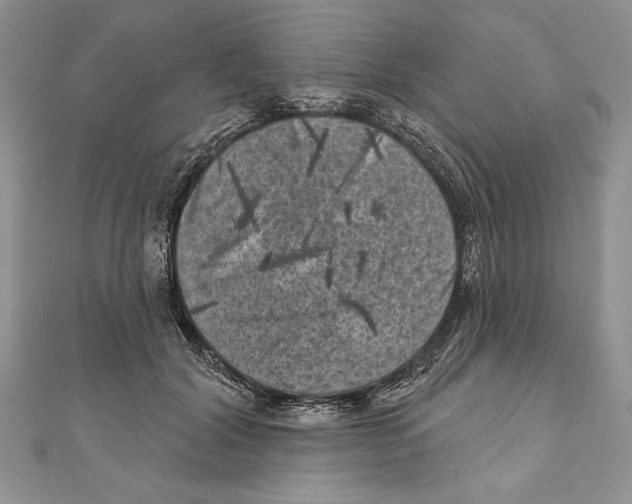 X0000111000604200907171815