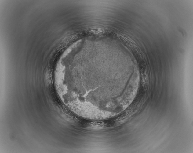 X0000111000606200907171815