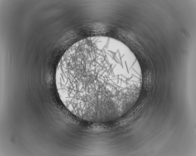 X0000111000608200907171815