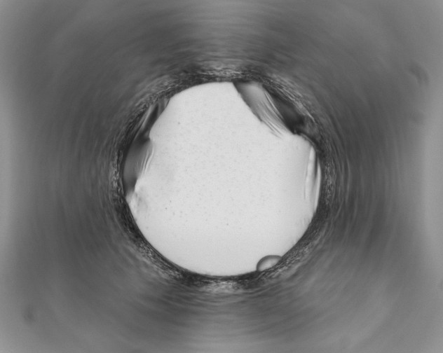 X0000111000609200907171815