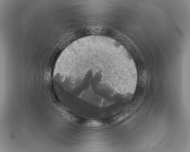 X0000111000610200907171815