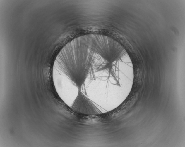 X0000111000612200907171815