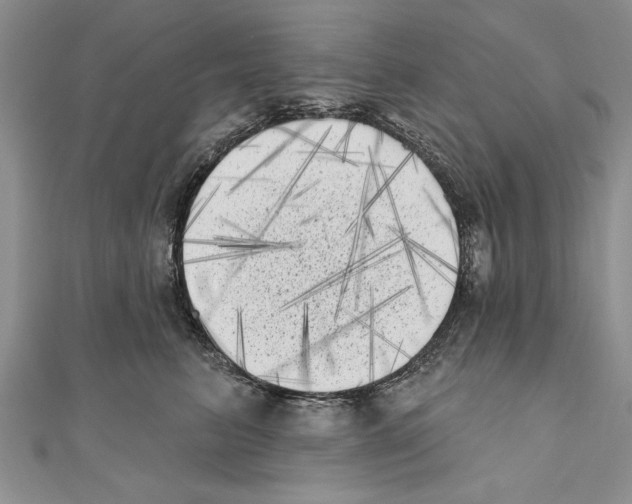 X0000111000615200907171815