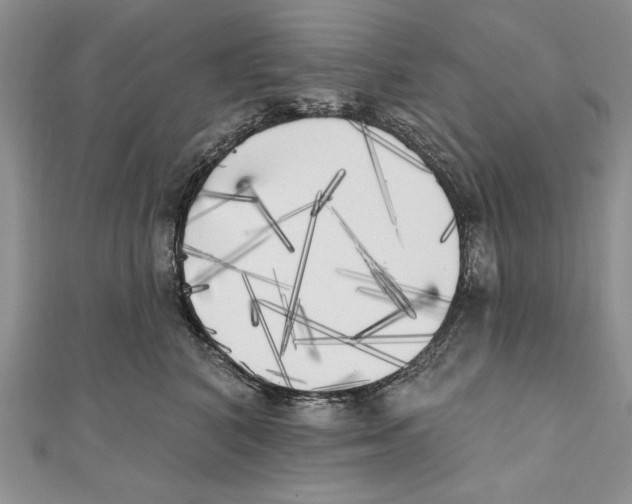 X0000111000616200907171815