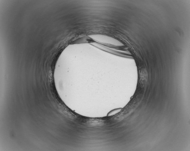 X0000111000617200907171815